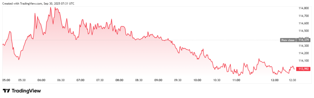 Crypto30x.com Bitcoin Price